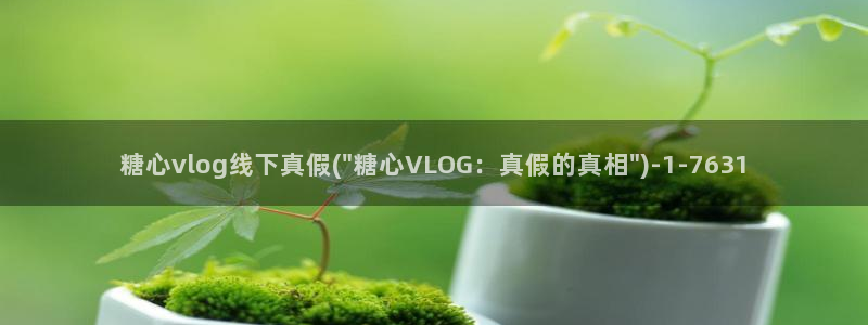 糖心vlog下载ios:糖心vlog线下